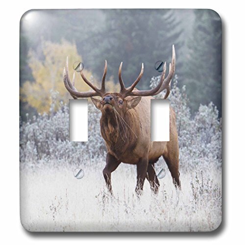 3D Rose LSP_231971_2 Rocky Mountain Bull Elk Double Toggle Switch